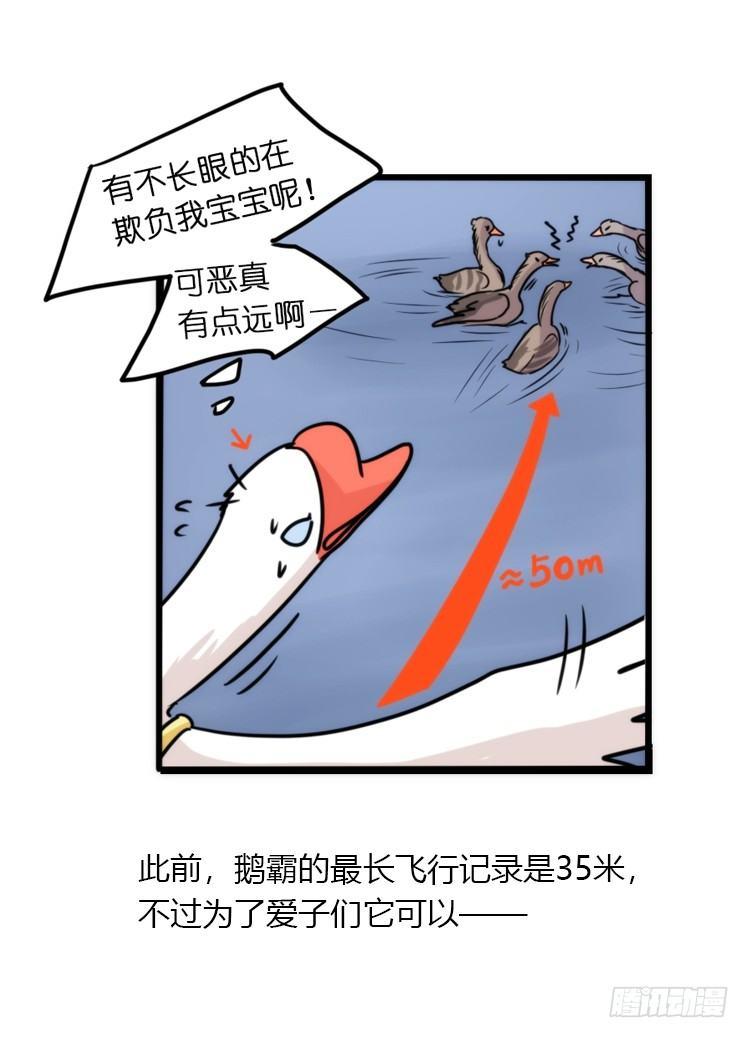 动协在行动25：向卡尔导师致敬！-第118话