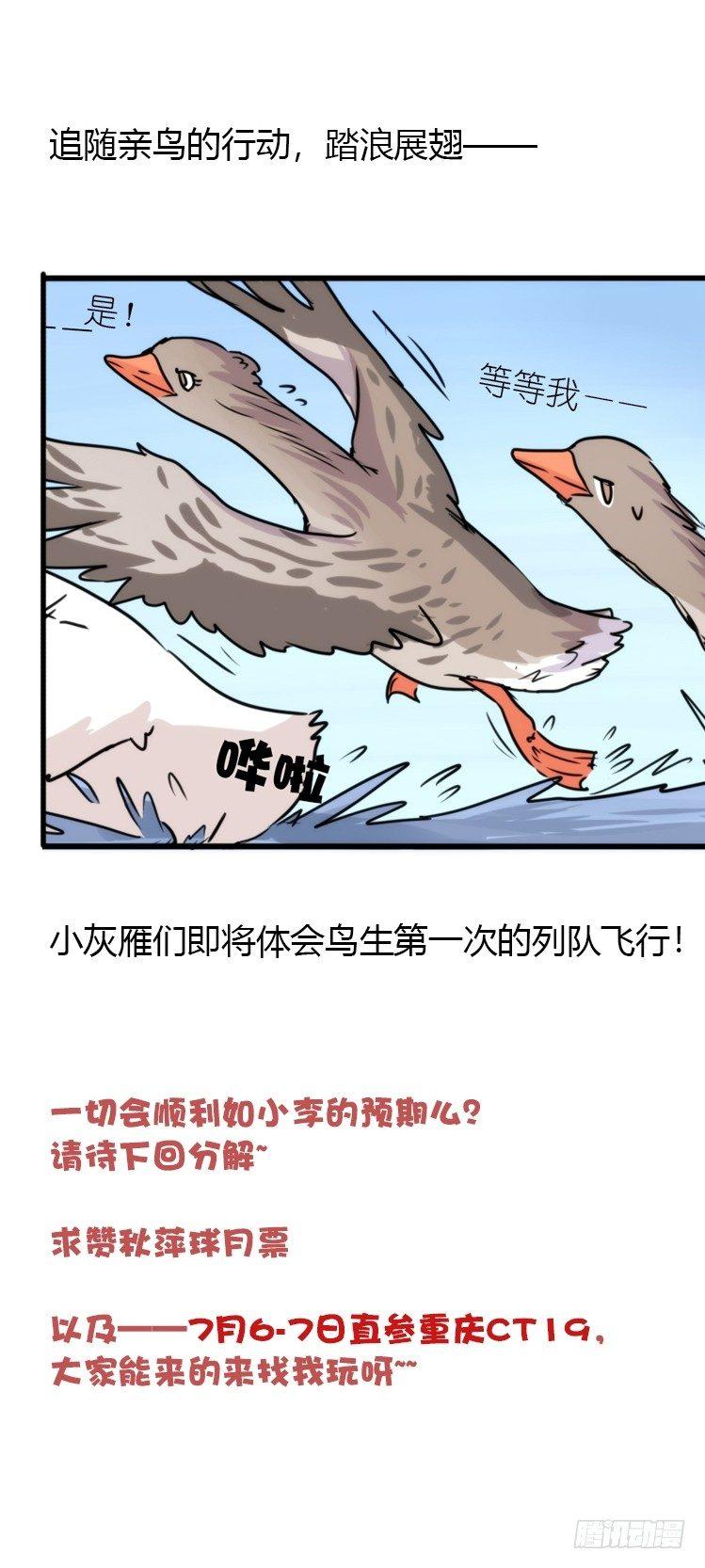 动协在行动25：向卡尔导师致敬！-第118话