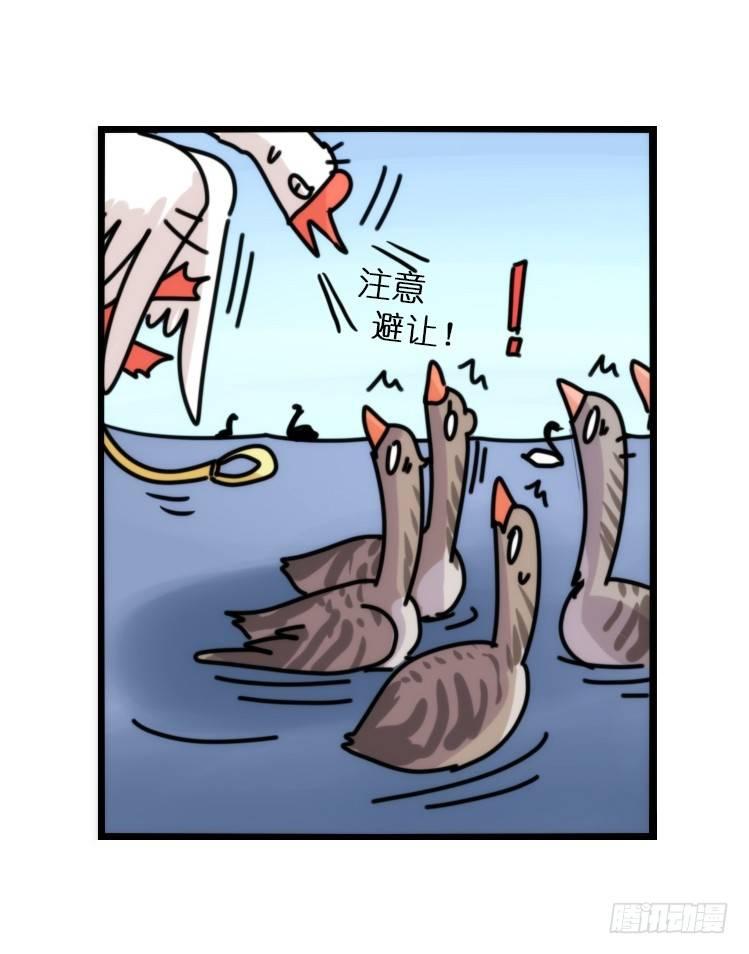 动协在行动25：向卡尔导师致敬！-第118话