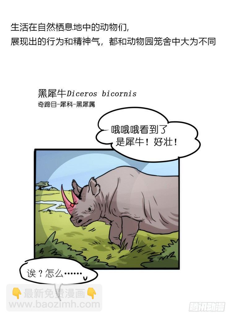 分离+旅行=成长是主旋律-第124话