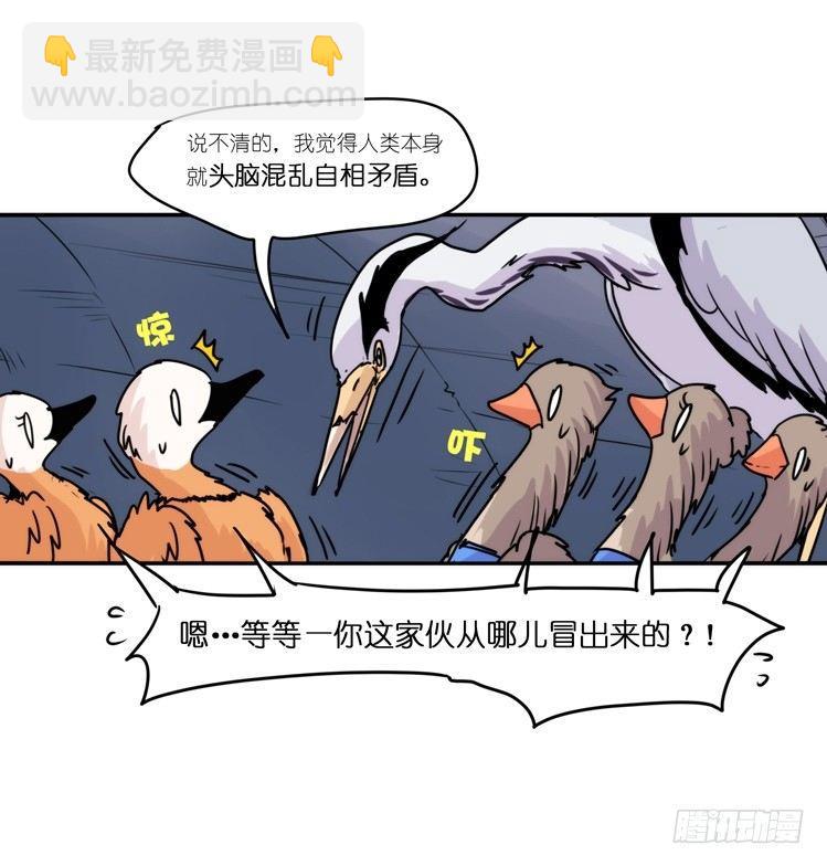 使命篇05：鸟眼看人奇-第128话