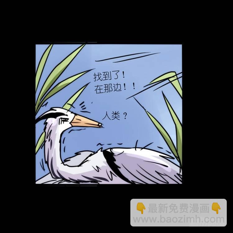 使命篇05：鸟眼看人奇-第128话