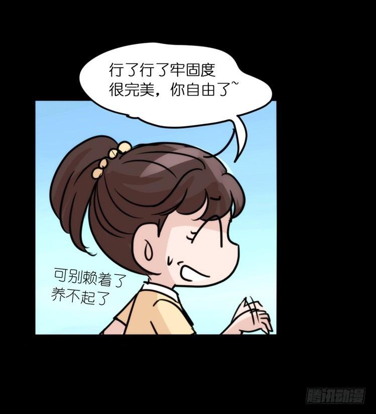 使命篇05：鸟眼看人奇-第128话