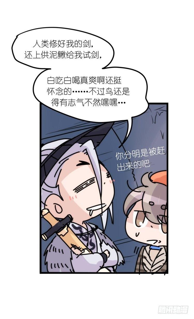 使命篇05：鸟眼看人奇-第128话