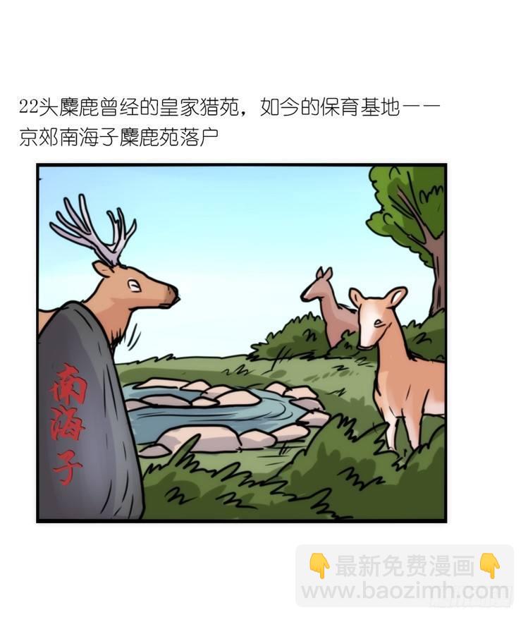 使命篇07：漫漫归乡路-第130话