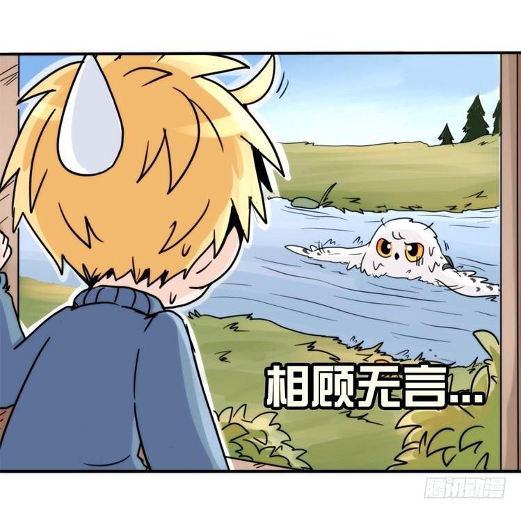 飞吧小少爷：赌上猛禽的尊严！-第14话