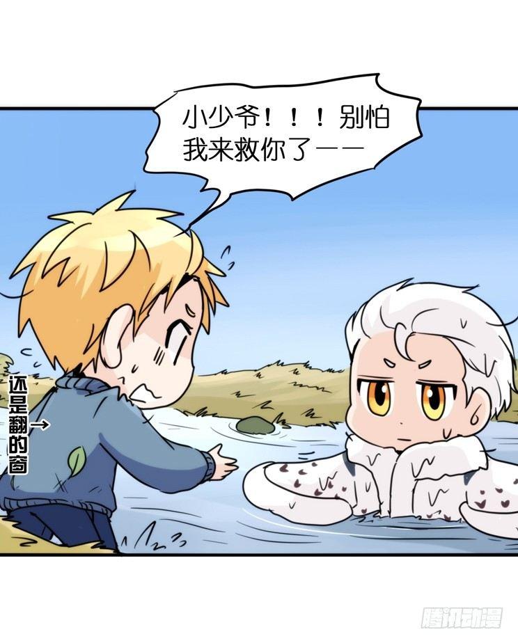 飞吧小少爷：赌上猛禽的尊严！-第14话