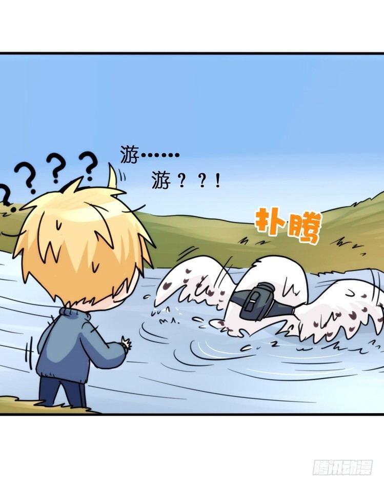 飞吧小少爷：赌上猛禽的尊严！-第14话