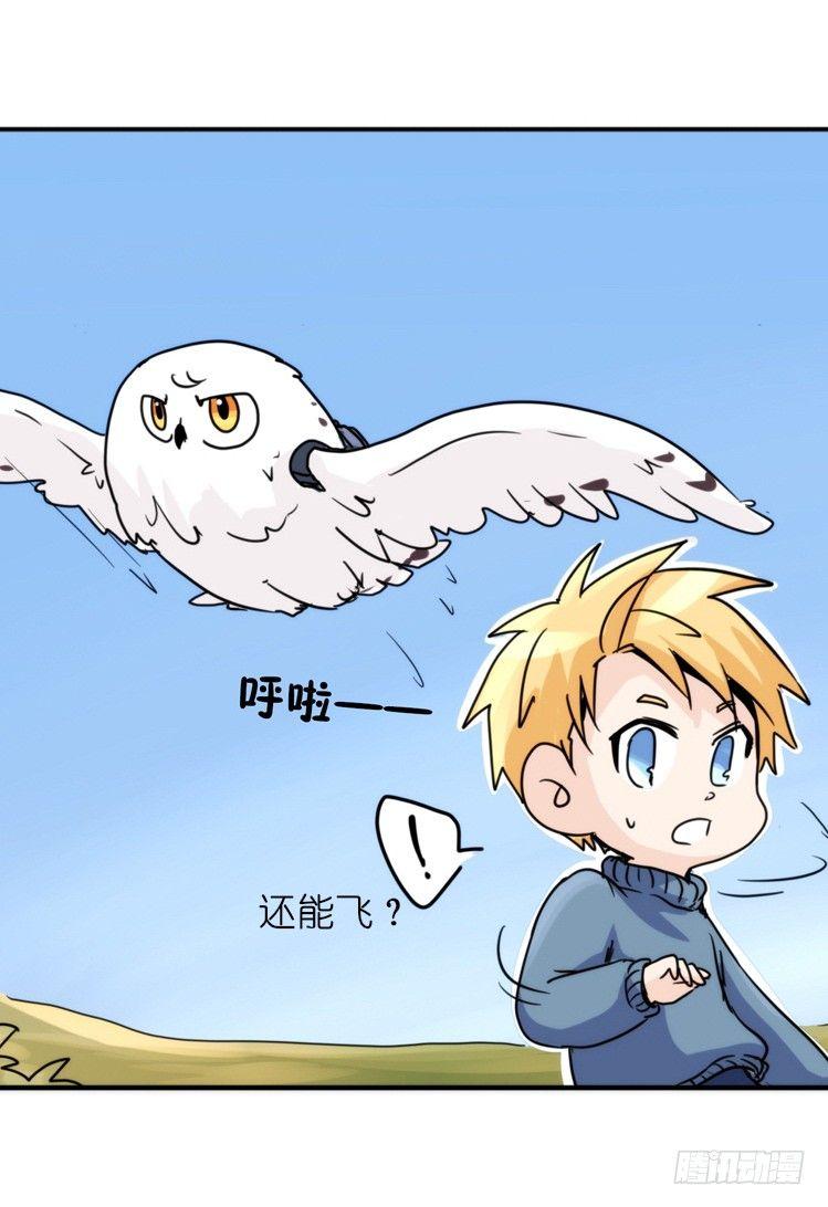 飞吧小少爷：赌上猛禽的尊严！-第14话