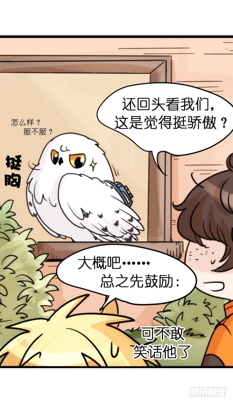 飞吧小少爷：赌上猛禽的尊严！-第14话