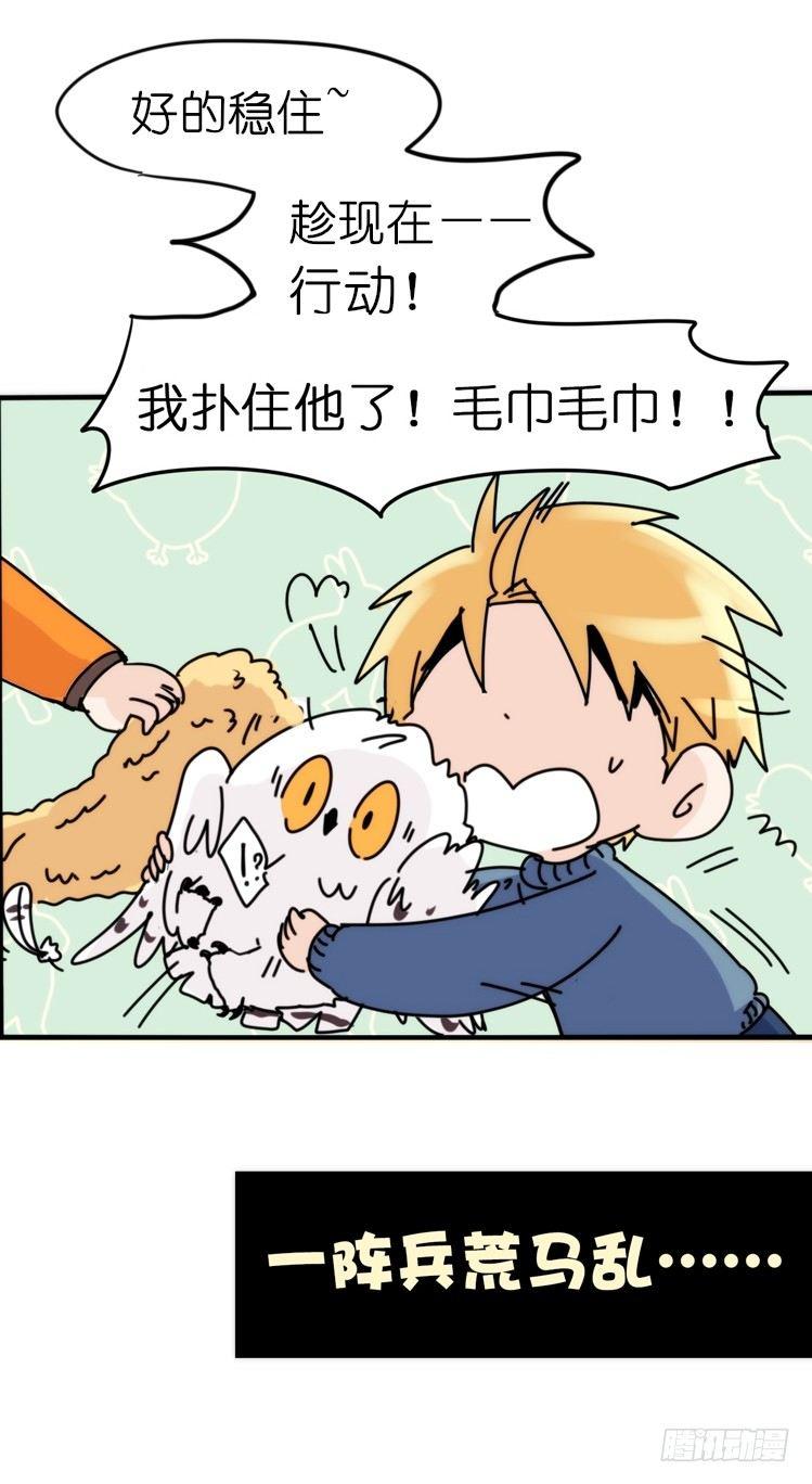 飞吧小少爷：赌上猛禽的尊严！-第14话
