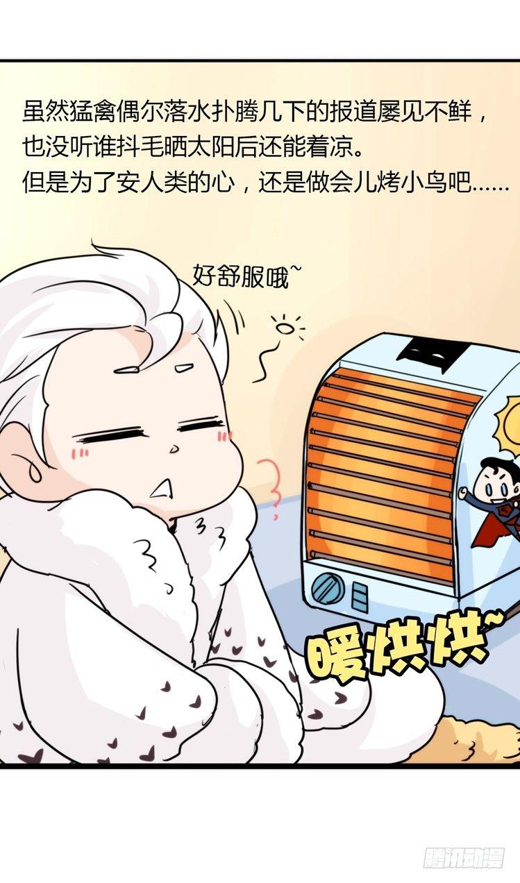 飞吧小少爷：赌上猛禽的尊严！-第14话