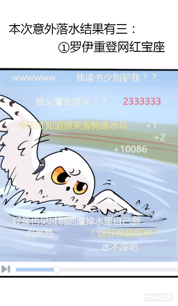 飞吧小少爷：赌上猛禽的尊严！-第14话