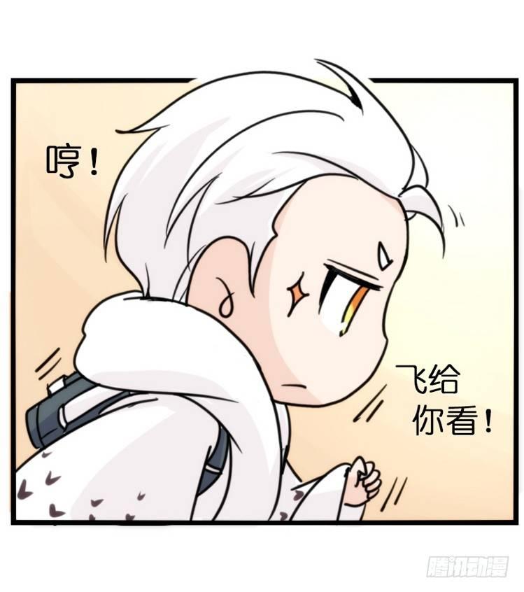 飞吧小少爷：赌上猛禽的尊严！-第14话