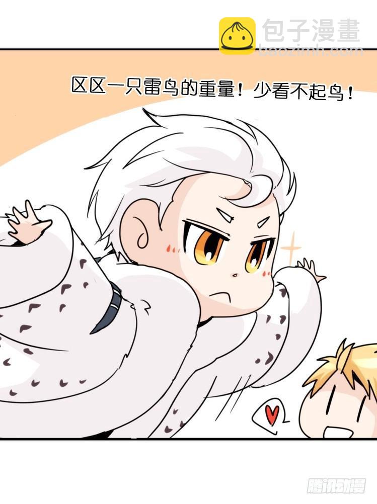 飞吧小少爷：赌上猛禽的尊严！-第14话