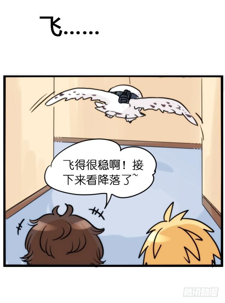 飞吧小少爷：赌上猛禽的尊严！-第14话