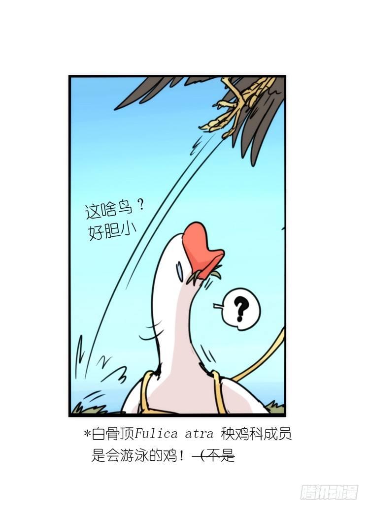 使命篇12：现在进行时-第136话