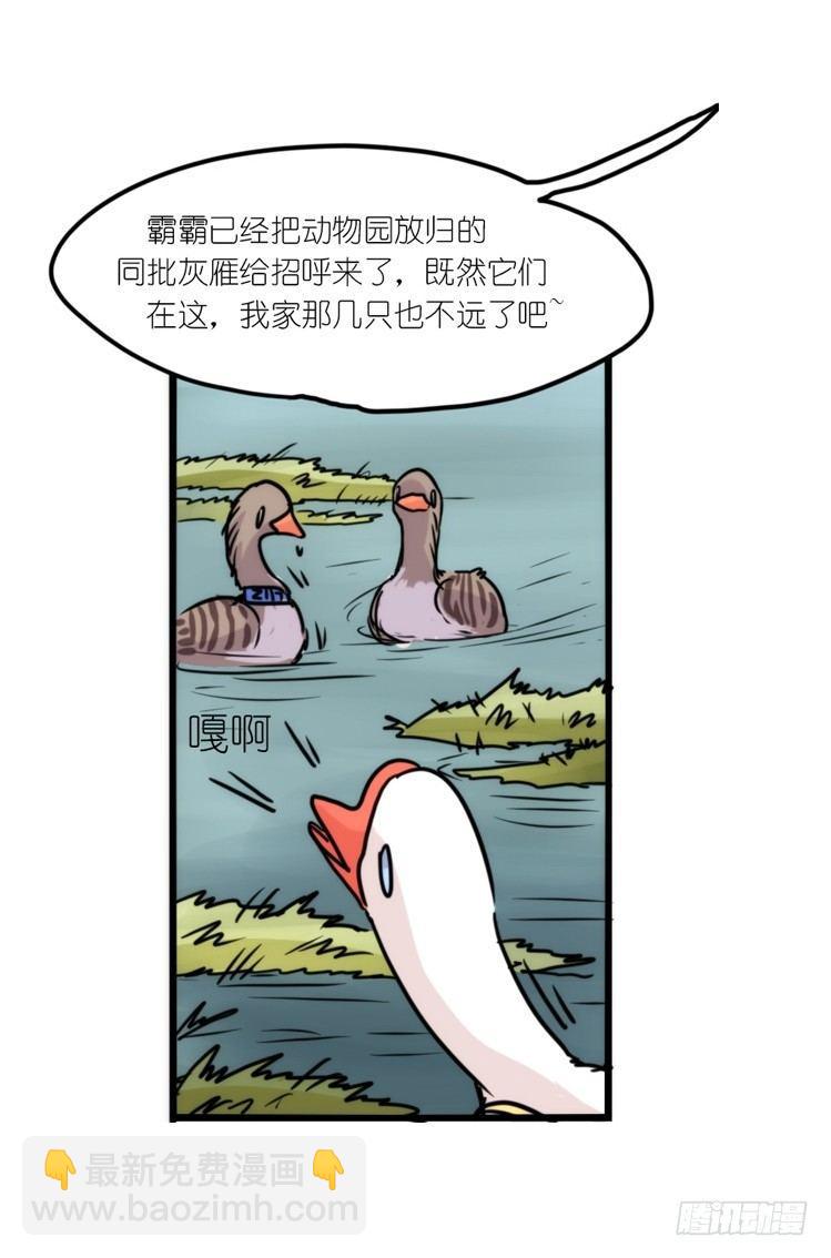 使命篇12：现在进行时-第136话
