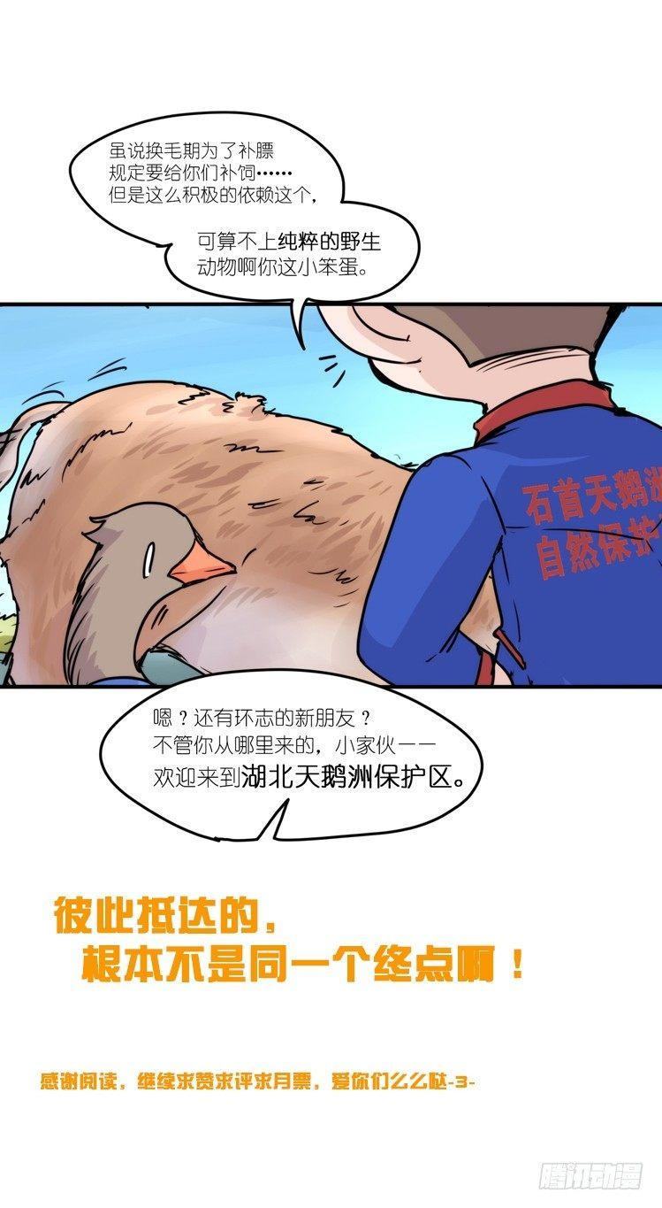 使命篇12：现在进行时-第136话