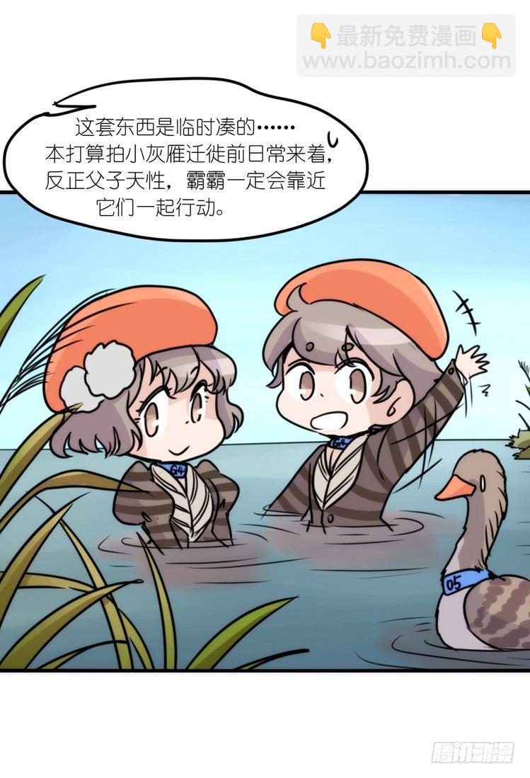 使命篇14：科学观鸟法-第138话