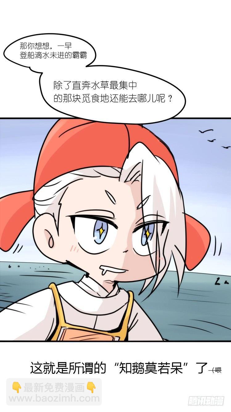 使命篇14：科学观鸟法-第138话