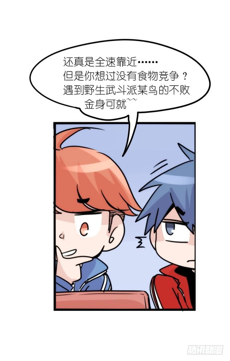 使命篇14：科学观鸟法-第138话