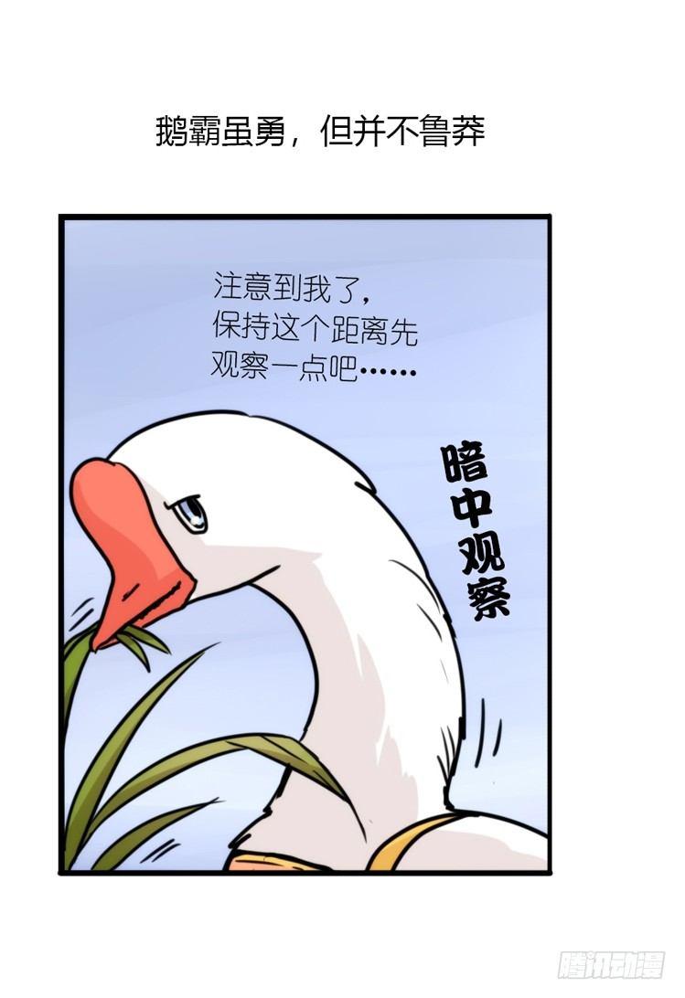 使命篇14：科学观鸟法-第138话