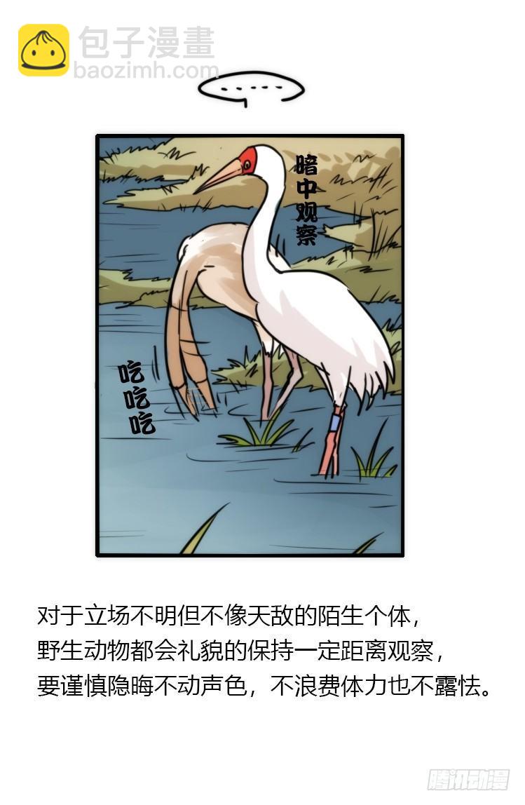 使命篇14：科学观鸟法-第138话