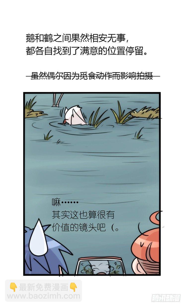 使命篇14：科学观鸟法-第138话