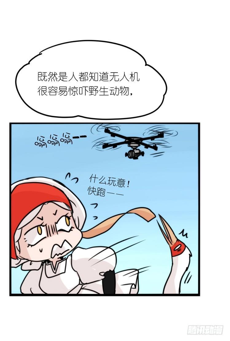 使命篇14：科学观鸟法-第138话