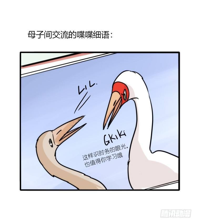 使命篇14：科学观鸟法-第138话