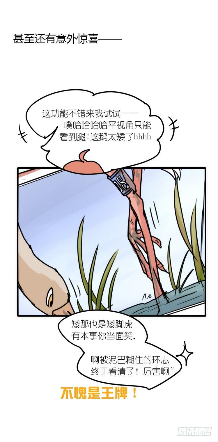 使命篇14：科学观鸟法-第138话