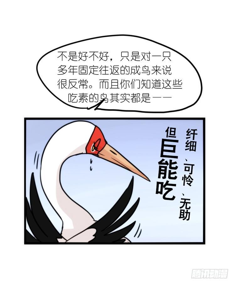 使命篇14：科学观鸟法-第138话