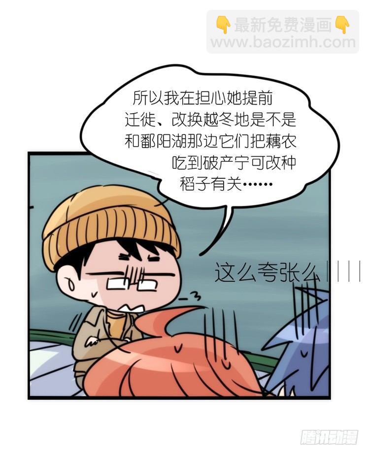使命篇14：科学观鸟法-第138话
