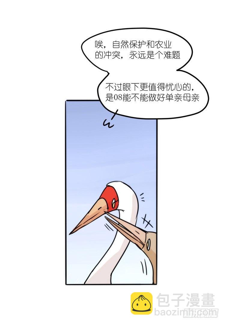 使命篇14：科学观鸟法-第138话