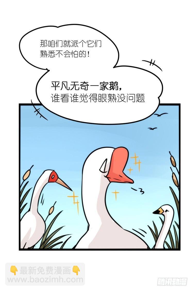 使命篇14：科学观鸟法-第138话