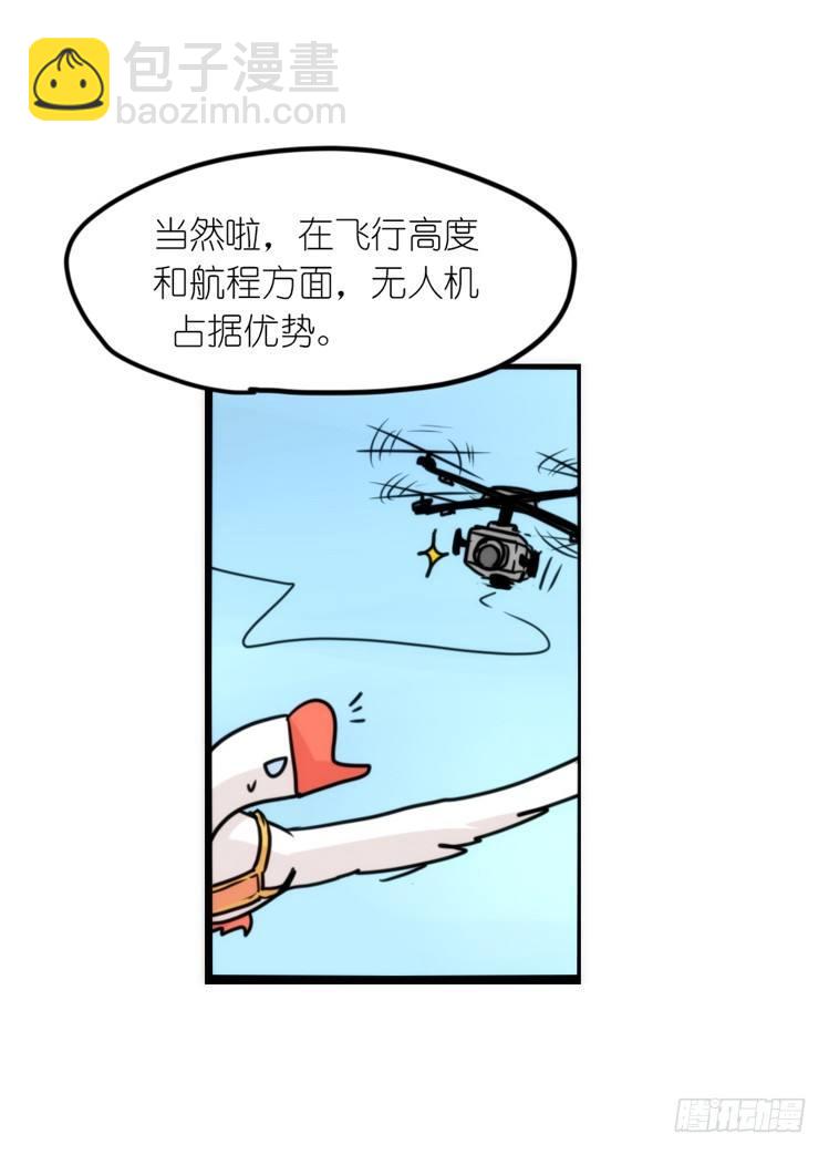 使命篇14：科学观鸟法-第138话