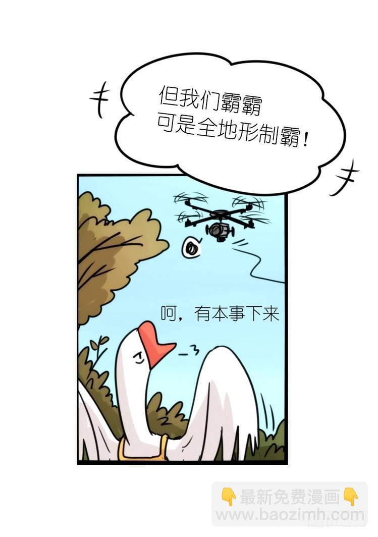 使命篇14：科学观鸟法-第138话