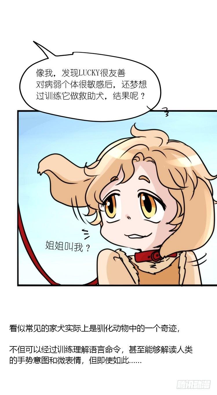 使命篇16：萌物们的新工作？-第140话