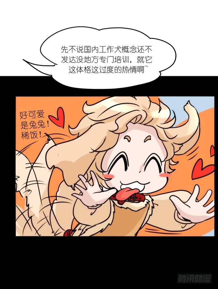 使命篇16：萌物们的新工作？-第140话