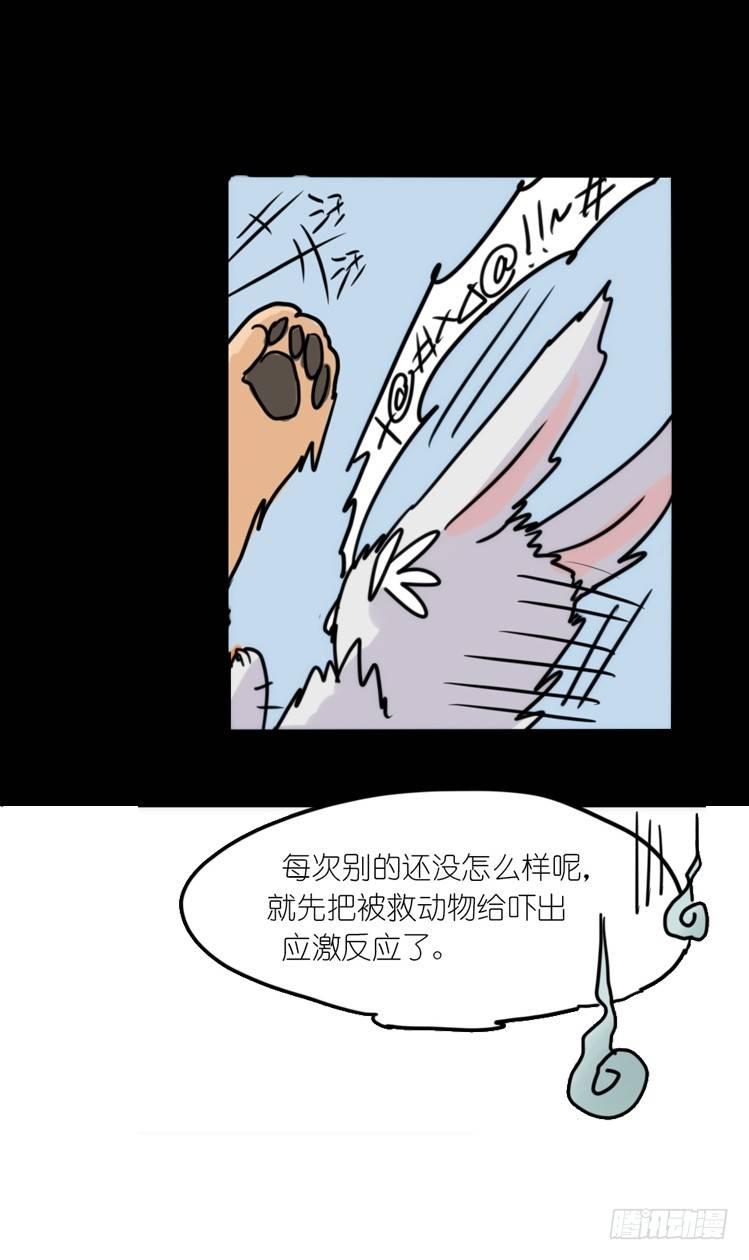 使命篇16：萌物们的新工作？-第140话
