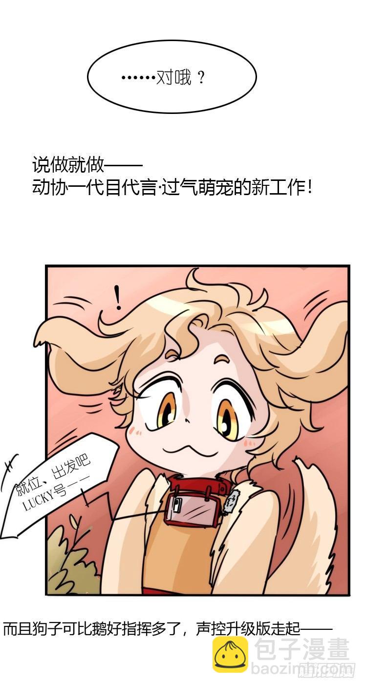 使命篇16：萌物们的新工作？-第140话