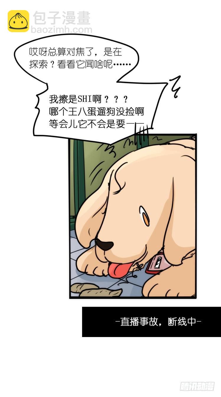 使命篇16：萌物们的新工作？-第140话