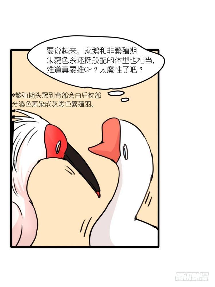 使命篇18：新工作来了-第142话