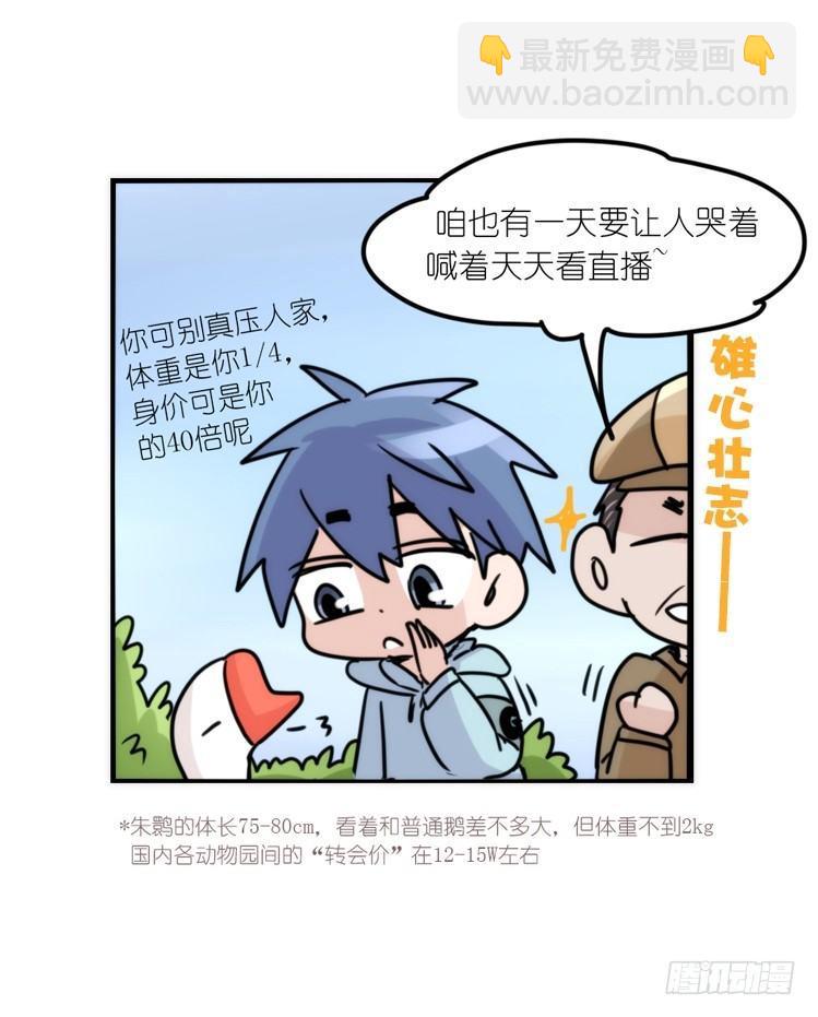 使命篇18：新工作来了-第142话