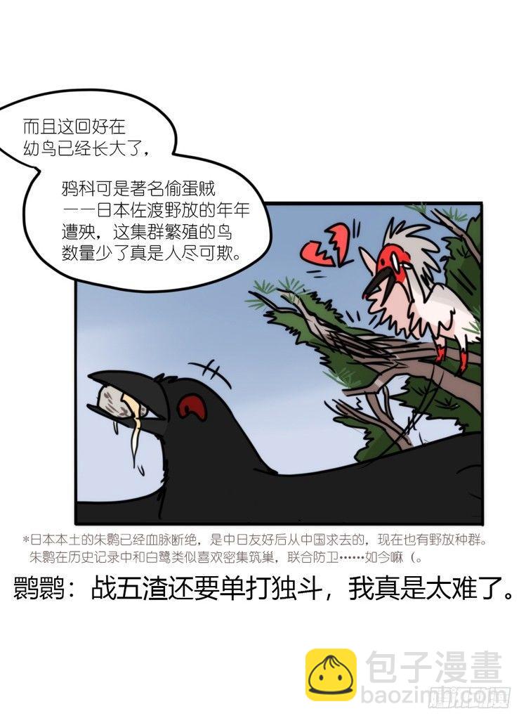 使命篇20：重振绯羽②-第144话