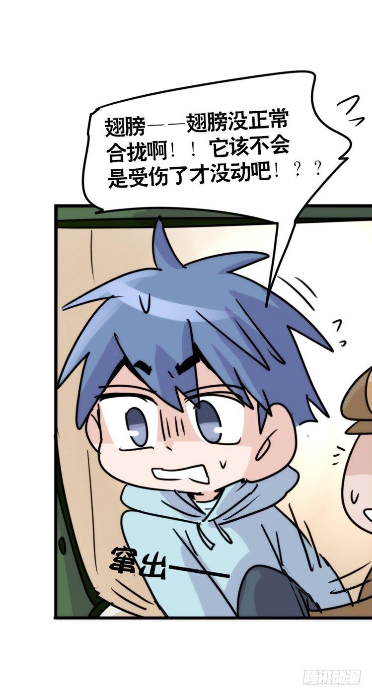 使命篇20：重振绯羽②-第144话
