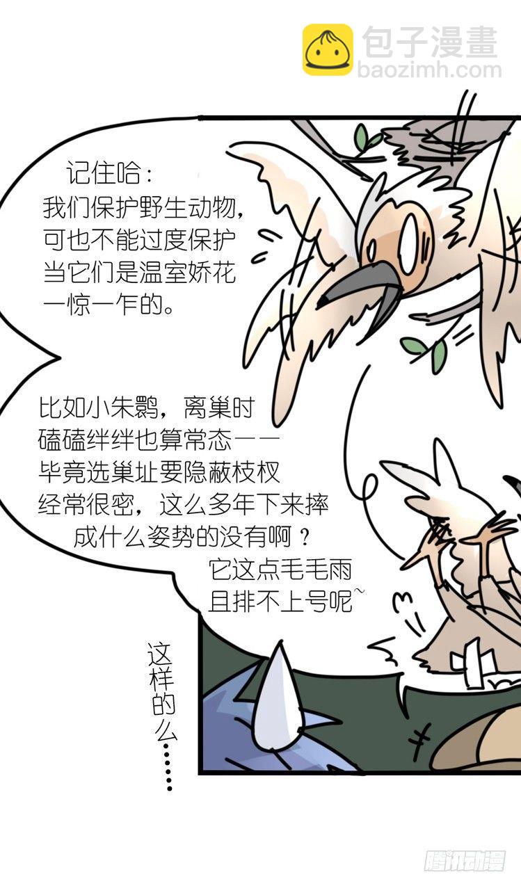 使命篇20：重振绯羽②-第144话