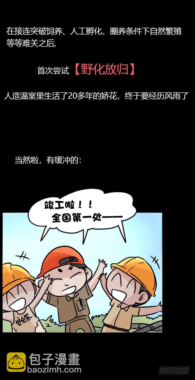 使命篇20：重振绯羽②-第144话