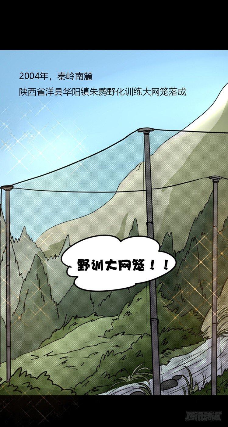 使命篇20：重振绯羽②-第144话